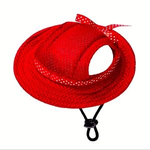 Elegant Red Women’s Hat for Dogs